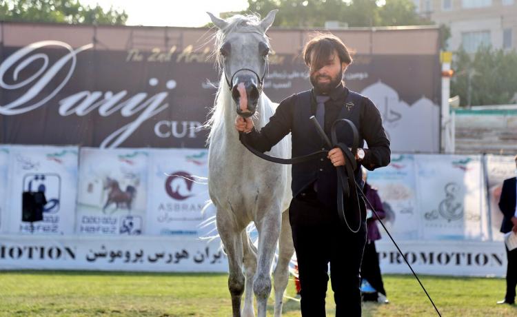 تصاویر جشنواره ملی زیبایی اسب اصیل عرب,عکس های جشنواره اسب در اردبیل,عکس های دومین جشنواره زیبایی اسب اصیل عرب در اردبیل