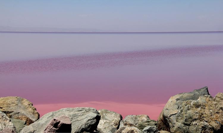 تصاویر سرخ شدن دریاچه ارومیه,عکس های دریاچه ارومیه,تصاویر دریاچه ارومیه به رنگ قرمز