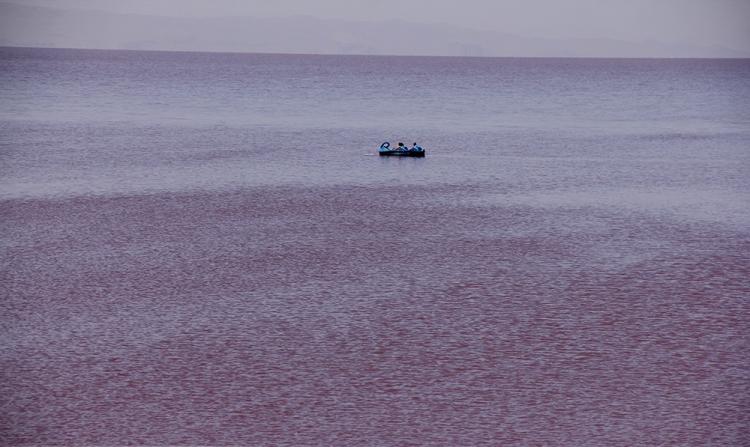تصاویر سرخ شدن دریاچه ارومیه,عکس های دریاچه ارومیه,تصاویر دریاچه ارومیه به رنگ قرمز