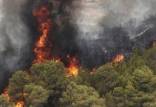آتش سوزی در جنگل ها و مراتع منطقه شبلیز,آتش سوزی جنگلهای سمنان