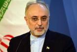رییس سازمان انرژی اتمی,یروگاه هسته‌ای بوشهر