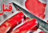 قتل خونین پسر جوان در پارک گلستانه,قتل در تهران