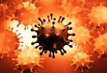 ویروس کرونا,روشی جدید برای پیشگیری از تکثیر ویروس کرونا