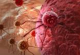 سلول سرطانی,خودخوری سلول‌های سرطانی