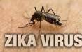 ویروس زیکا,ابتلا به زیکا در هند