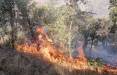 آتش سوزی در جنگل های گچساران,آتش گرفتن جنگل ها و مراتع منطقه حفاظت شده خامی