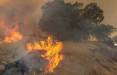 وقوع آتش سوزی گسترده در جنگل‌های بوزین و مره‌خیل پاوه,آتش سوزی جنگل ها