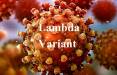 ویروس کرونا لامبادا,شیوع کرونای لامبادا در جهان