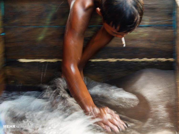 تصاویر استخراج سنگ قلع از دریا,عکس های استخراج سنگ از دریا,تصاویر استخراج سنگ در اندونزی
