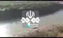 فیلم/ رؤیت یک کوسه بزرگ در رودخانه کرخه