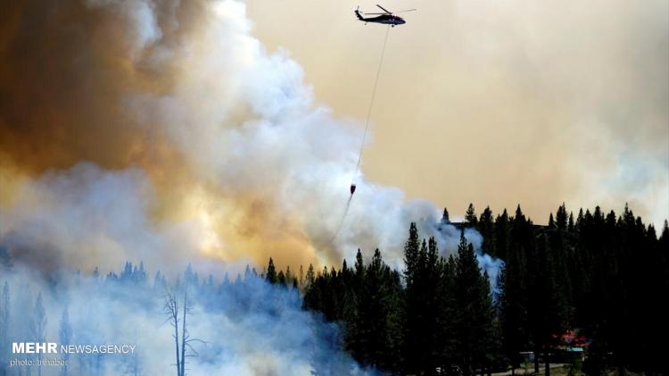 تصاویر آتش سوزی گسترده در کالیفرنیا,عکس های آتش سوزی در کالیفرنیا,تصاویری از آتش گرفتن جنگل ها در کالیفرنیا