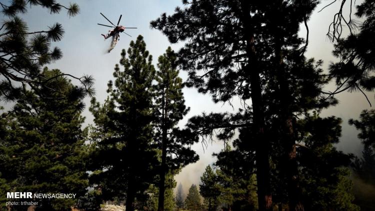 تصاویر آتش سوزی گسترده در کالیفرنیا,عکس های آتش سوزی در کالیفرنیا,تصاویری از آتش گرفتن جنگل ها در کالیفرنیا