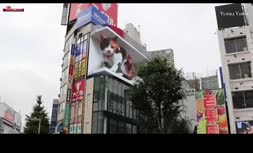 فیلم/ نمایش یک گربه متحرک سه بعدی بر روی بیلبوردی در توکیو