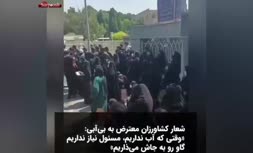 فیلم/ شعار کشاورزان معترض اصفهانی: وقتی که آب نداریم، مسوول نیاز نداریم، گاو رو به جاش میذاریم