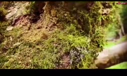 فیلم/ اجرای آهنگ ابی توسط روزبه نعمت‌اللهی