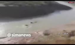 فیلم/ رؤیت یک کوسه بزرگ در رودخانه کرخه
