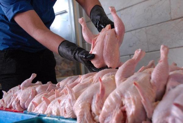 واردات گوشت و مرغ در دستور کار, کشاورزان تکنوکرات