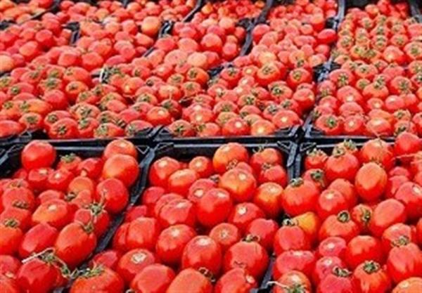 قیمت گوجه و قیمت برنج ایرانی,افزایش قیمتها در ایران