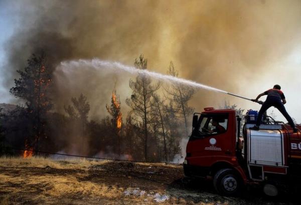 آتش سوزی جنگهلای ترکیه,علت آتش سوزی جنگهای ترکیه