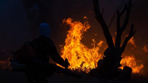 مجموع تلفات آتش‌سوزی‌های هایقر فارس,منطقه هایقر