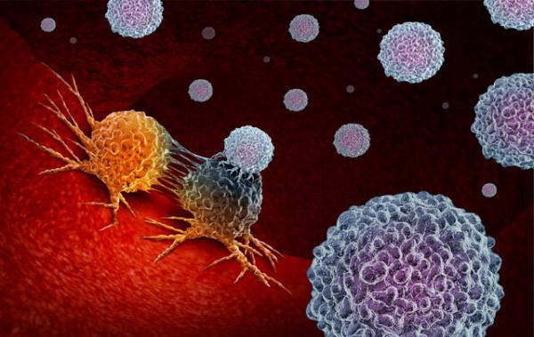 روش جدید برای نابودی سلول‌های سرطانی,سلول سرطانی