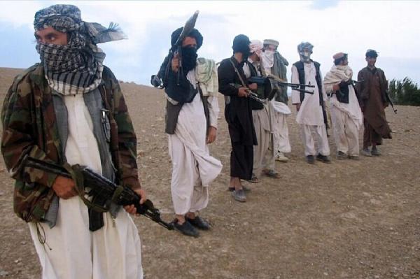طالبان,کشته شدگان طالبان در افغانستان