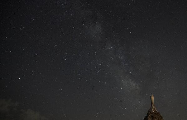 بارش شهابی برساوشی,بارش شهاب سنگی