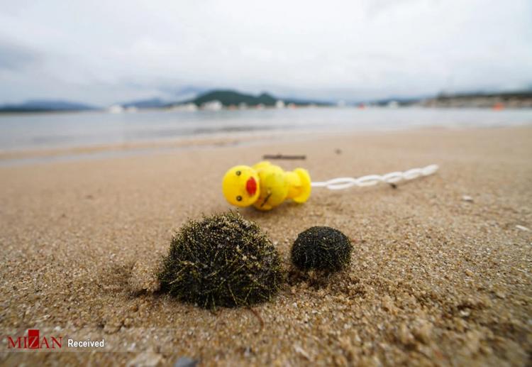 تصاویر افتتاح ساحل مصنوعی هنگ کنگ,عکس های ساحل مصنوعی هنگ کنگ,تصاویر ساحل مصنوعی هنگ کنگ