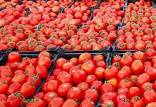 قیمت گوجه و قیمت برنج ایرانی,افزایش قیمتها در ایران