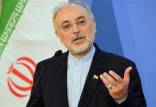 صالحی و زنگنه,حمایت از دولت روحانی