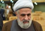 معاون دبیرکل حزب الله لبنان,شیخ نعیم قاسم