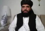 سهیل شاهین,سخنگوی طالبان