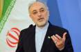 صالحی و زنگنه,حمایت از دولت روحانی