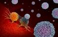 روش جدید برای نابودی سلول‌های سرطانی,سلول سرطانی