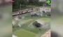 فیلم/ روش شگفت‌انگیز ژاپنی‌ها برای خنک کردن پارک‌ها در تابستان