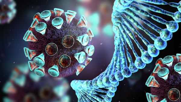 رکورد دوباره فوتیهای کرونا در کشور رکورد دوباره فوتیهای کرونا در کشور,افزایش مرگ و میر کرونایی در ایران