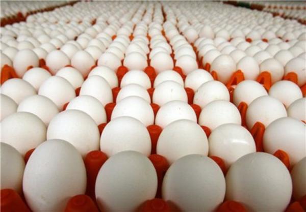 تخم مرغ دوباره گران شد / آیا لبنیات باز هم گران می‌شود؟