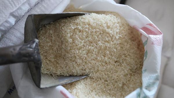 قیمت‌های عجیب انواع برنج در بازار,قیمت انواع برنج