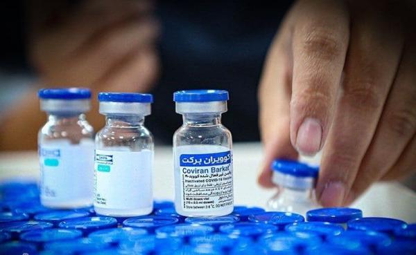 طرح واکسن کوو ایران برکت,میزان تولید واکسن برکت