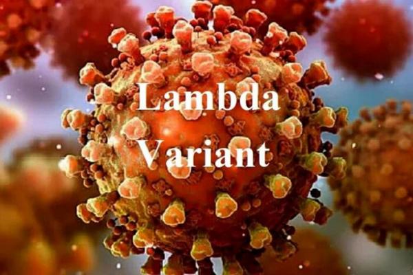ویروس لامبدا در ایران,مرگ ادران باردار کرونایی