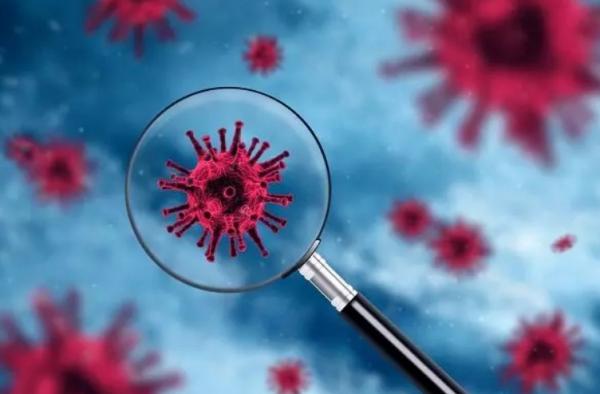 ویروس کرونا,تغییرات متابولیکی در سلول های پلاسمای خون با کرونا