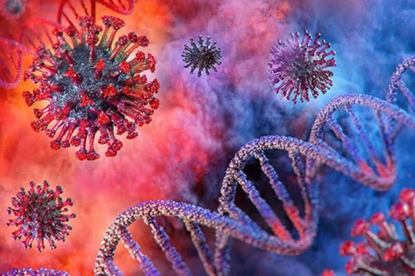 ویروس کرونا,آسیب کرونا به DNA