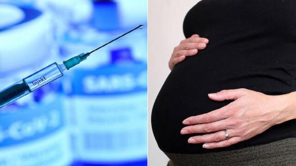 واکسن کرونا,عدم تاثیر واکسن کرونا بر جنین