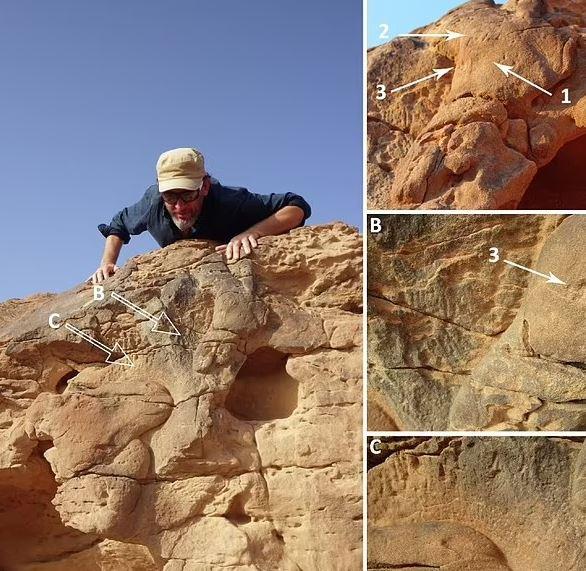 فسیل شتر,کشف فسیل شتر ۸ هزار ساله در عربستان