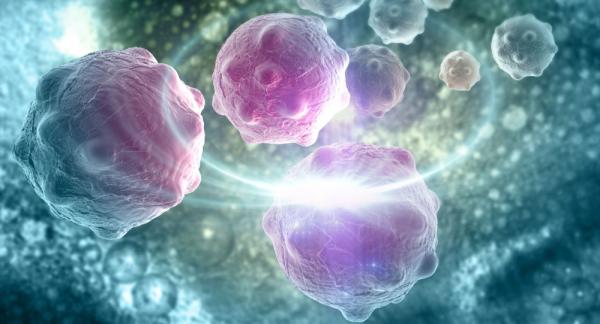 کشف راهی جدید برای مبارزه با سلول‌های سرطانی بدخیم,مبارزه با سلول‌های سرطانی