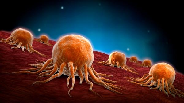 کشف راهی جدید برای مبارزه با سلول‌های سرطانی بدخیم,مبارزه با سلول‌های سرطانی