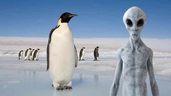 پنگوئن,ارتباط پنگوئن‌ ها و بیگانگان فضایی
