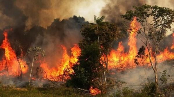 آتش سوزی در جنگل‌های منطقه گلیل و سرانی,جنگل های شیروان