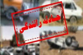 واژگونی یک خودرو در جاده جهرم-شیراز,کشته شدگان افغان در ایران