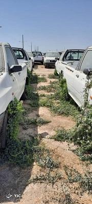 ماجرای نگهداری چند وانت ۱۵۱ در پارکینگ خودروسازی سایپا,پرایدهای سبز شده در پارکینگ سایپا